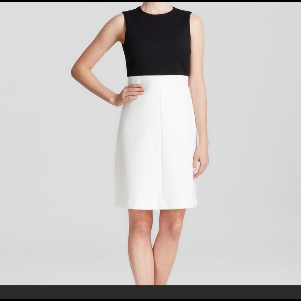 Theory Raneid Tribute Dress size 8